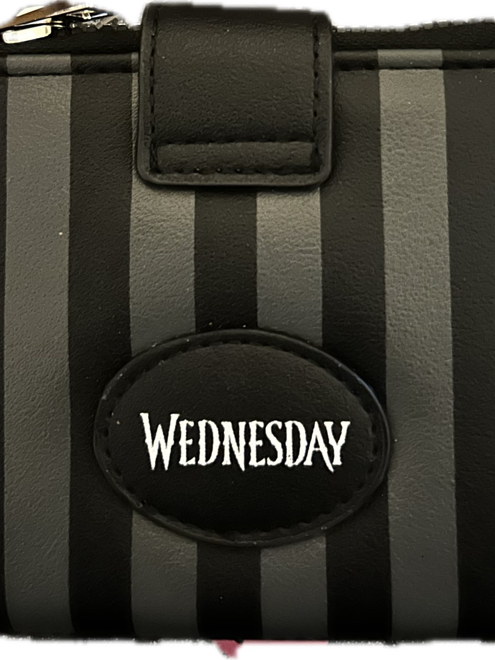 Wednesday Black & Gray Striped Women's Wallet
